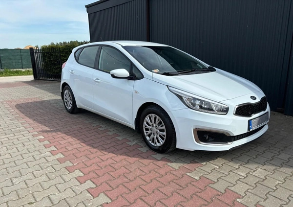 Kia Ceed cena 31999 przebieg: 205000, rok produkcji 2016 z Kielce małe 211